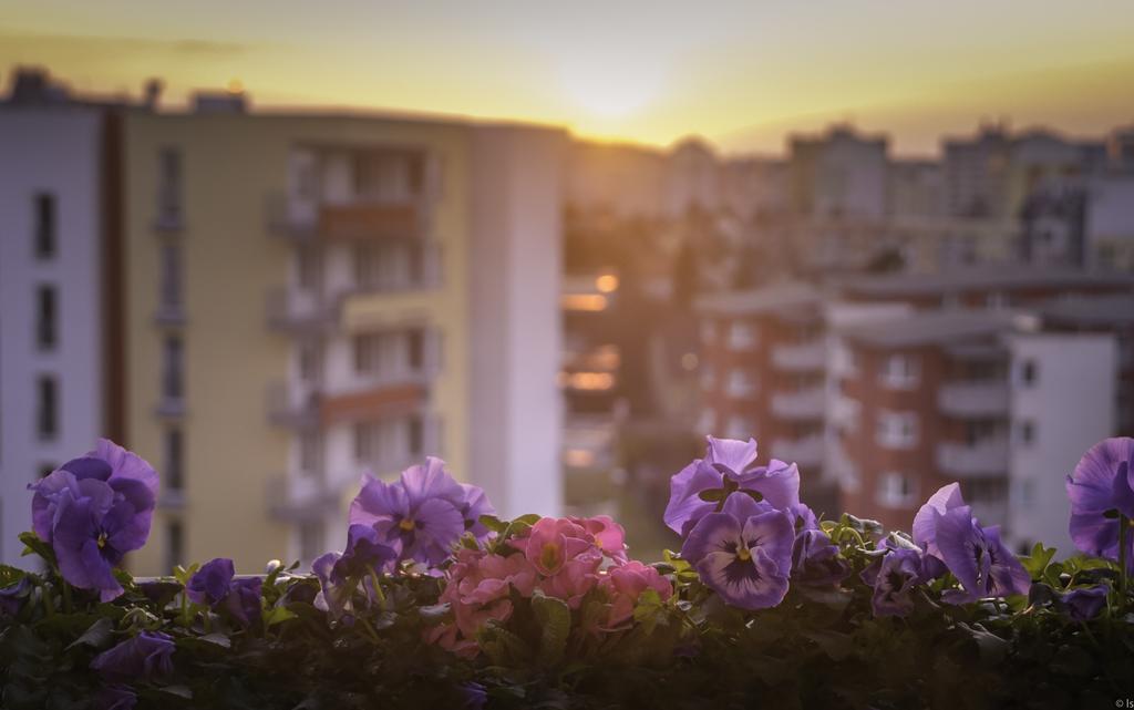 A Nice Place To Stay Apartments Prague Bilik gambar